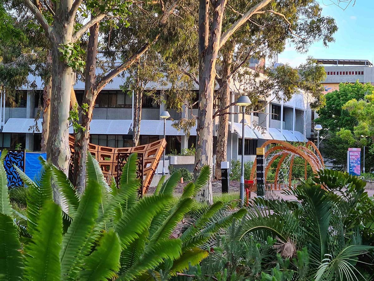 Glimpsed through ferns, two timber pavilions sit among the gum trees on the Curtin University campus.